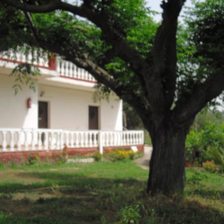 Vitaládes Corfu Country House חדר תמונה